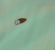 Láthatatlanok