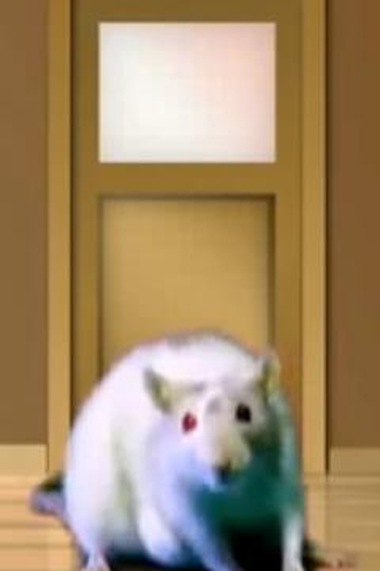 Poster de Curta The Rat Agent (2009)