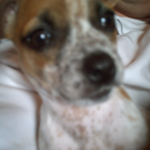 Foto de perfil de Janaina