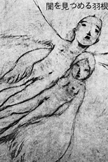 A Feather Stare at the Dark (闇を見つめる羽根)