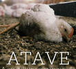 Atave: A Avicultura Escancarada