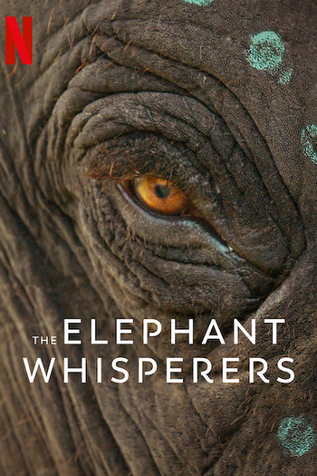  de Curta Como Cuidar de um Bebê Elefante (2022)