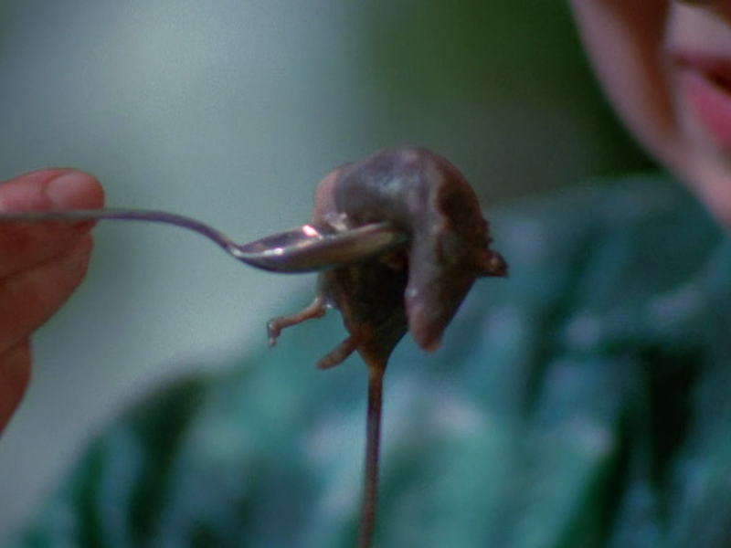 Foto 9 de O Filho do Demônio