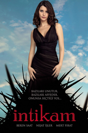 Poster de Franquia Intikam (2013)