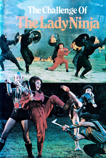 Challenge of the Lady Ninja - Poster / Capa / Cartaz - Oficial 7