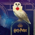 Comemorando os 20 anos de 'Harry Potter' filme ganhará sessão especial