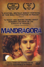 Mandrágora (Mandragora)