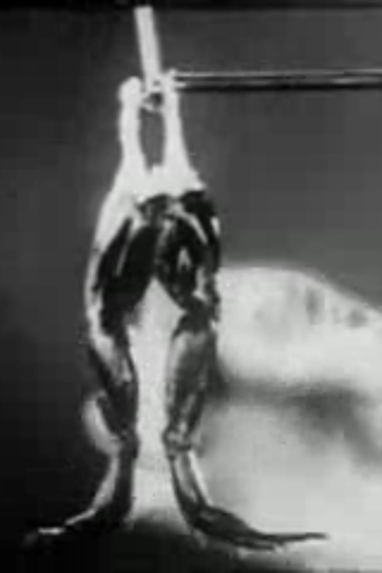 Poster de Curta Fisiologia Geral (1938)