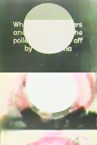 Poster 1 de Curta On Eye Rape (1962)