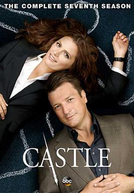 Castle, PI by Castle