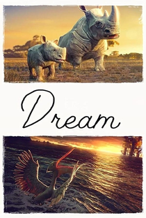 Dream - Poster / Capa / Cartaz - Oficial 1