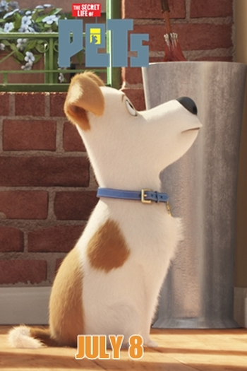  de Filme Pets: A Vida Secreta dos Bichos (2016)