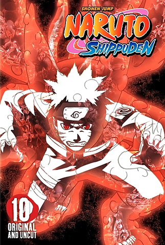 Naruto Shippuden Temporada 10 - assista episódios online streaming