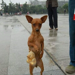 Foto de perfil de Bilbo