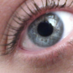 Foto de perfil de Kemagu