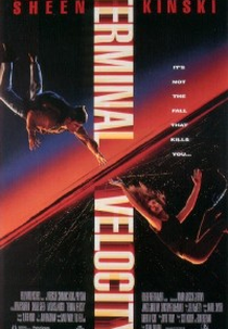 Velocidade Terminal (Terminal Velocity)