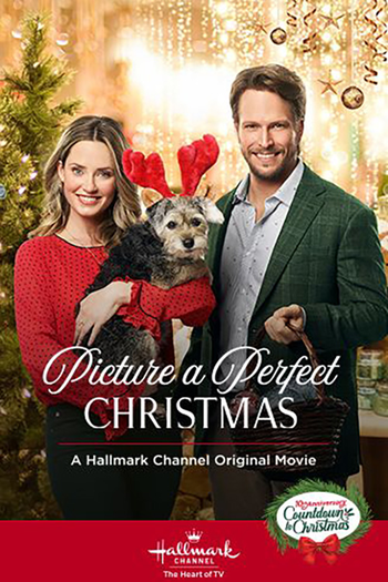 Poster de Filme Picture a Perfect Christmas (2019)