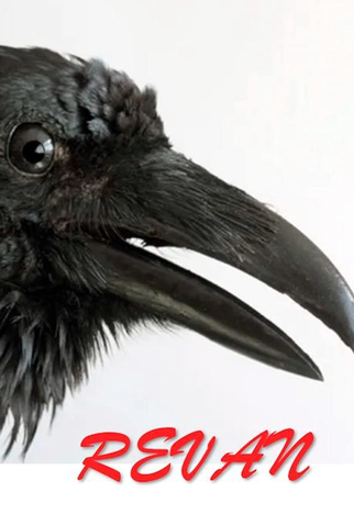 Poster 1 de Filme Reven (2012)