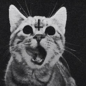 Foto de perfil de Caroline