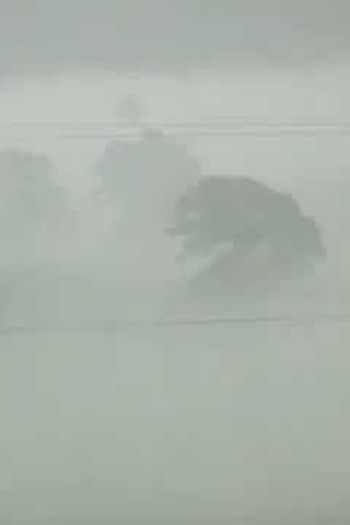 Poster de Curta Fog Line (1970)