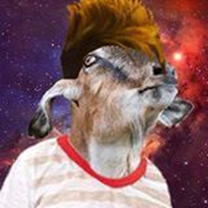 Foto de perfil de Bode Gaiato