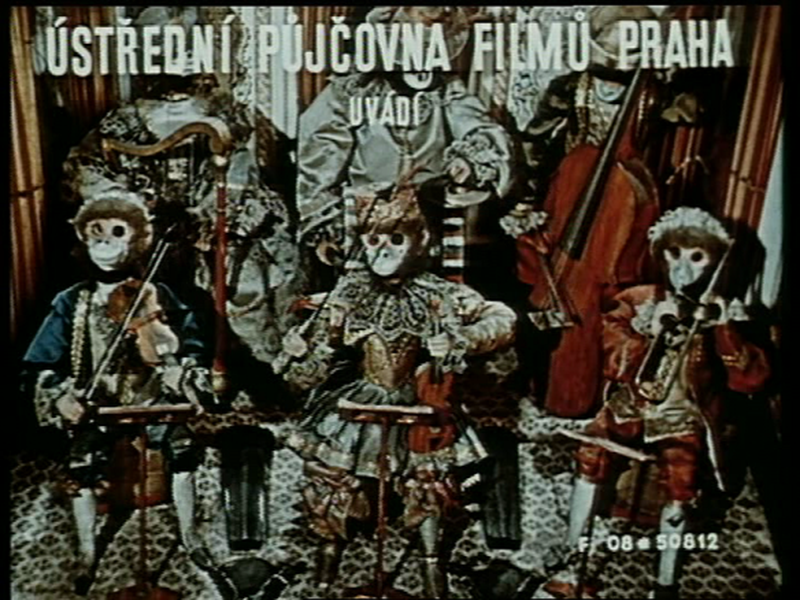 Foto 1 de Polichinelo