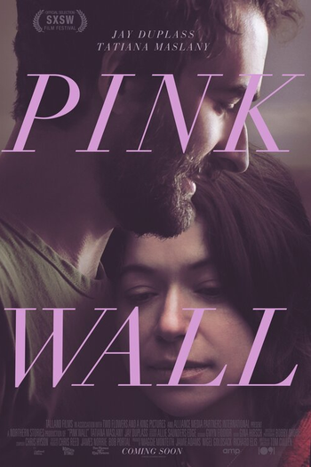 Poster de Filme Pink Wall (2019)