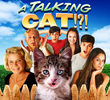 A Talking Cat!?!