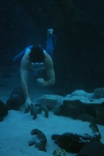 Poster de Episódio Seance / The Treasure (1979)