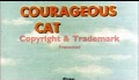 Courageous Cat Theme Song