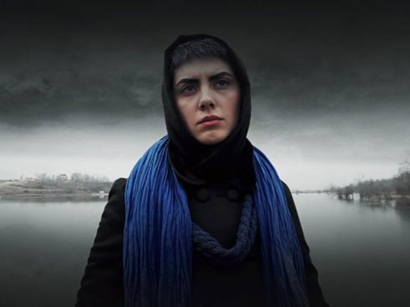 Foto 5 de Peixe & Gato