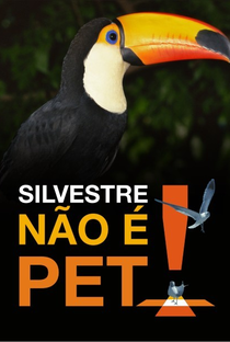 Silvestre Não é Pet! - Poster / Capa / Cartaz - Oficial 1
