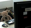 Misery Bear Goes to Work