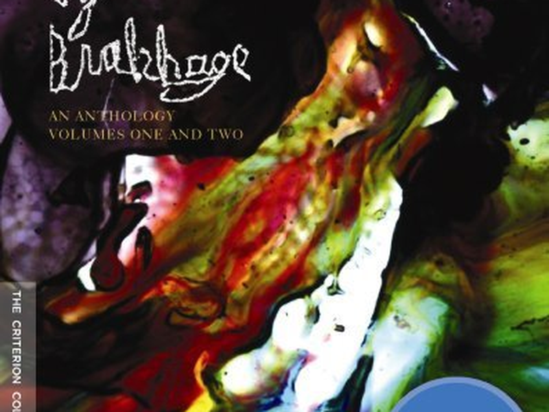 Foto 1 de Star Garden