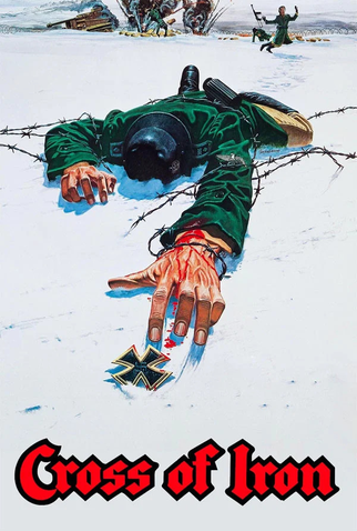 Poster 15 de Filme A Cruz de Ferro (1977)