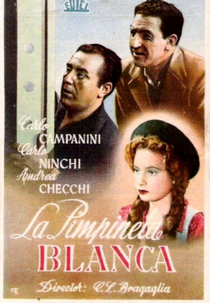 La Primula Bianca  (La primula bianca )