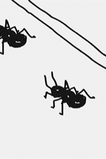 Poster de Episódio Ants (2002)