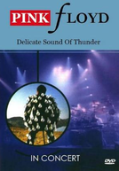 Pink Floyd: Delicate Sound Of Thunder (Pink Floyd: Delicate Sound Of Thunder)