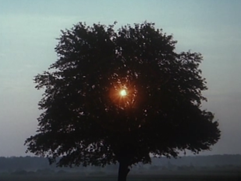 Foto 2 de Siekierezada