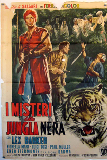 O Mistério da Selva Negra - Poster / Capa / Cartaz - Oficial 1