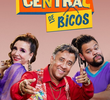 Central de Bicos