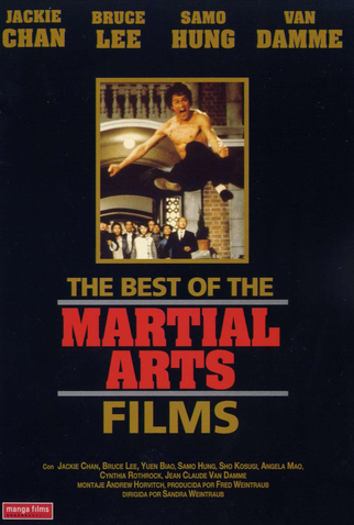 Os 10 melhores filmes de artes marciais para assistir online - Canaltech