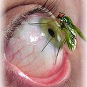 Foto de perfil de Zkyzytuz