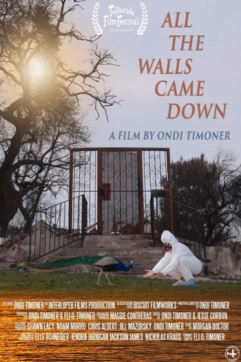 Poster de Curta All the Walls Came Down (2025)
