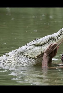 O Homem Que Nada com Crocodilos - Poster / Capa / Cartaz - Oficial 1