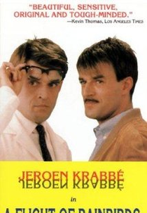 A Flight of Rainbirds (Een vlucht regenwulpen)