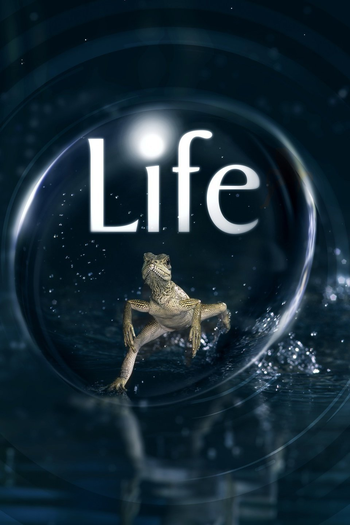 Poster de Série Vida (2007)