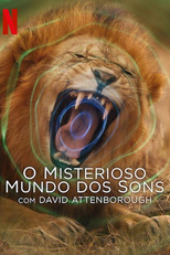 O Misterioso Mundo dos Sons com David Attenborough (Secret World of Sound with David Attenborough)
