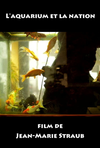Poster 1 de Curta O Aquário e a Nação (2016)
