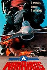 Ases da Guerra (Warbirds)